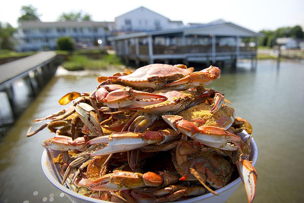 Chesapeake House Tilghman Island Kültér fotó